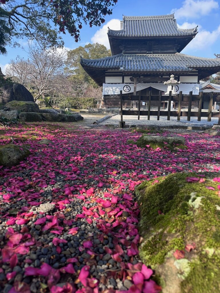 涅槃会　2026/2/15